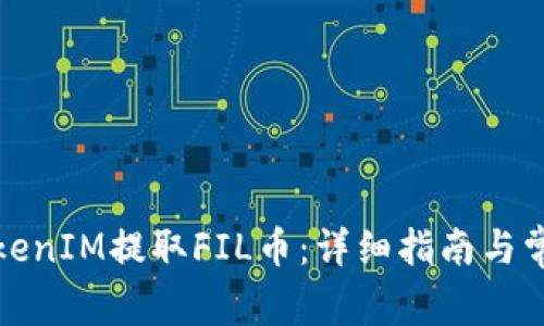 如何通过TokenIM提取FIL币：详细指南与常见问题解答
