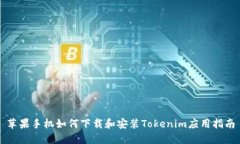 苹果手机如何下载和安装Tokenim应用指南
