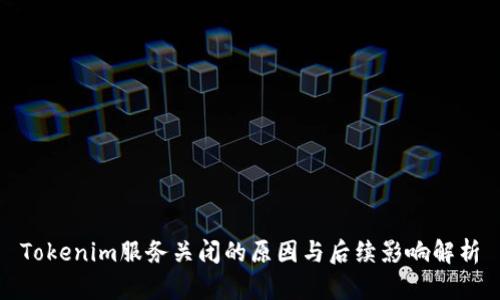 Tokenim服务关闭的原因与后续影响解析