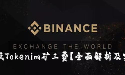 如何降低Tokenim矿工费？全面解析及实用技巧