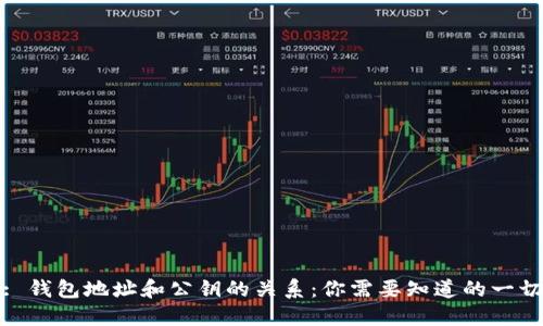 : 钱包地址和公钥的关系：你需要知道的一切