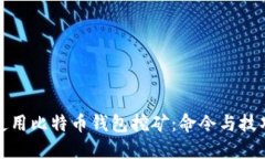 如何使用比特币钱包挖矿：命令与技巧详解