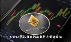 BitPay钱包转出问题解析与解决方法