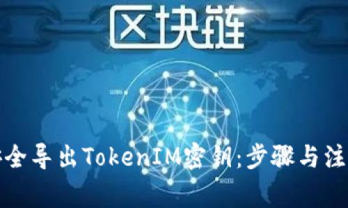 如何安全导出TokenIM密钥：步骤与注意事项