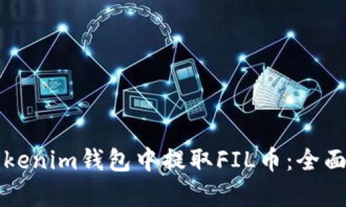 如何在Tokenim钱包中提取FIL币：全面流程分析