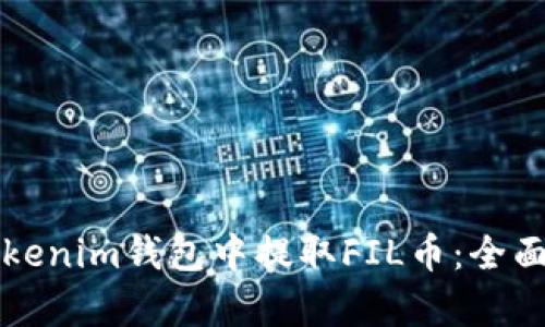 如何在Tokenim钱包中提取FIL币：全面流程分析