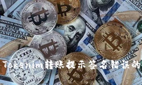 如何解决Tokenim转账提示签名错误的常见问题