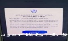 如何高效对接Ledger钱包：完整指南与实用技巧