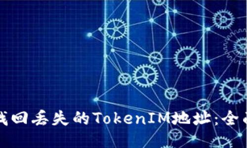 如何找回丢失的TokenIM地址：全面指南