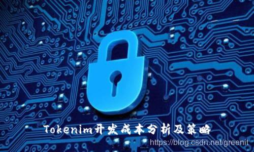 Tokenim开发成本分析及策略