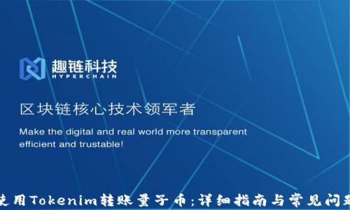
如何使用Tokenim转账量子币：详细指南与常见问题解答