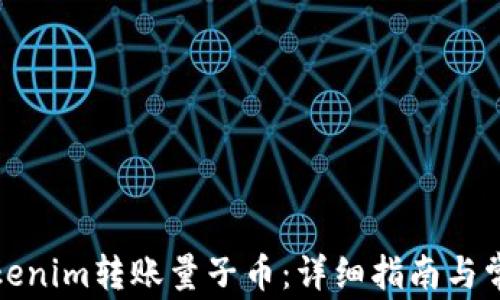 
如何使用Tokenim转账量子币：详细指南与常见问题解答