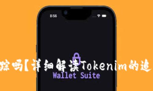 Tokenim可以追踪吗？详细解读Tokenim的追踪能力及其影响