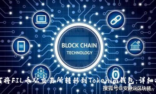 如何将FIL币从交易所转移到Tokenim钱包：详细指南