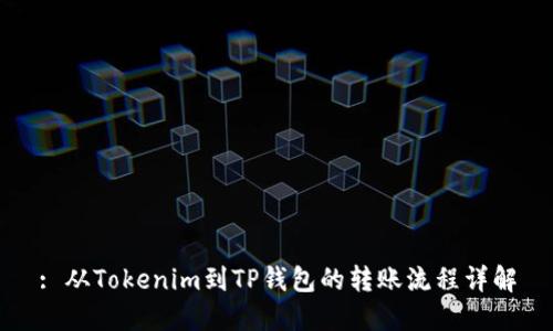 : 从Tokenim到TP钱包的转账流程详解