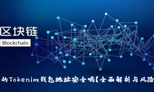 空投的Tokenim钱包地址安全吗？全面解析与风险防范