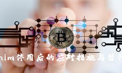 Tokenim停用后的应对措施与替代方案