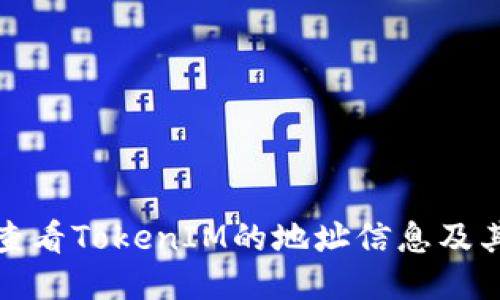 如何全面查看TokenIM的地址信息及其使用技巧