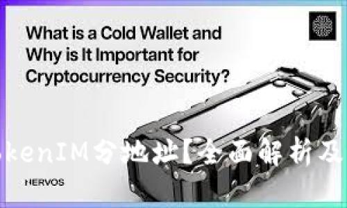 什么是TokenIM分地址？全面解析及应用实例