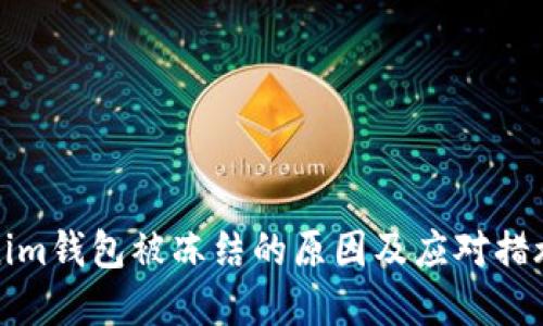 Tokenim钱包被冻结的原因及应对措施详解