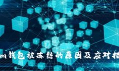 Tokenim钱包被冻结的原因及应对措施详解