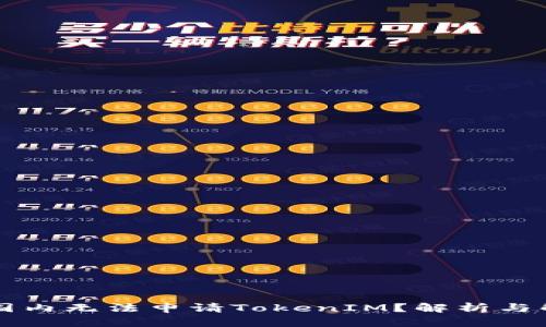 为什么国内无法申请TokenIM？解析与解决方案