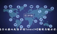 为什么国内无法申请TokenIM？解析与解决方案