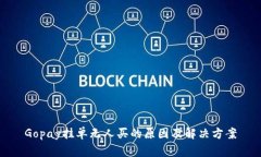 Gopay挂单无人买的原因及解决方案