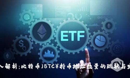 深入解析：比特币（BTC）持币地址数量的现状与发展