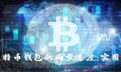 如何加速比特币钱包的同步速度：实用技巧与建