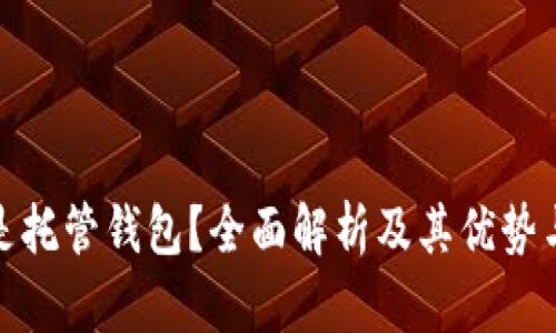 什么是托管钱包？全面解析及其优势与劣势