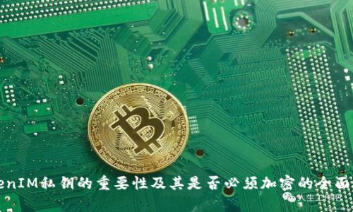 TokenIM私钥的重要性及其是否必须加密的全面解析