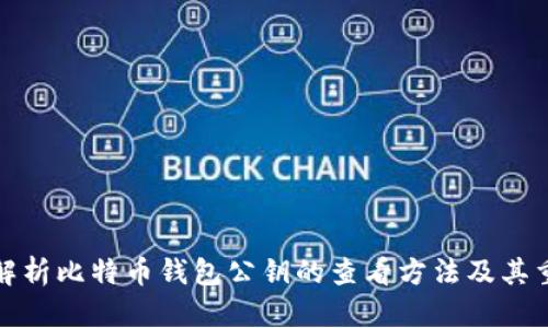 全面解析比特币钱包公钥的查看方法及其重要性