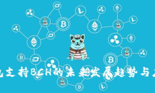 各大钱包支持BCH的未来发展趋势与应用前景