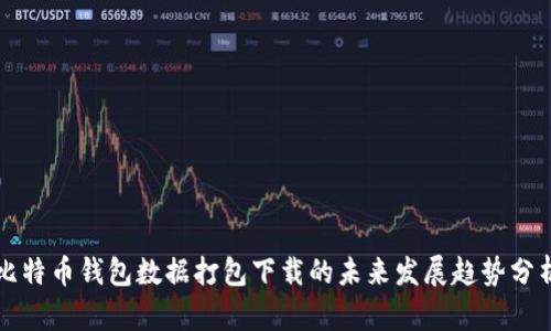 比特币钱包数据打包下载的未来发展趋势分析