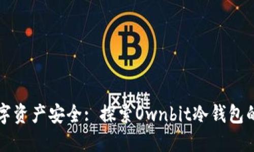 未来的数字资产安全: 探索Ownbit冷钱包的发展趋势