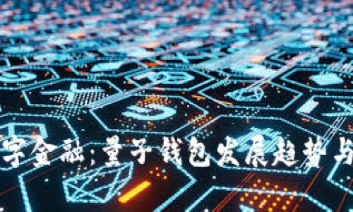 未来的数字金融：量子钱包发展趋势与应用前景