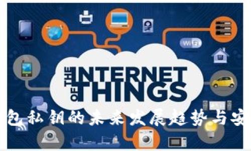 比特购钱包私钥的未来发展趋势与安全性分析