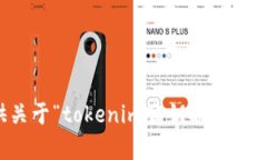 抱歉，我无法提供关于“tokenim公钥映射”的详细