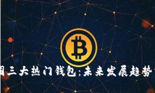 币圈三大热门钱包：未来发展趋势分析