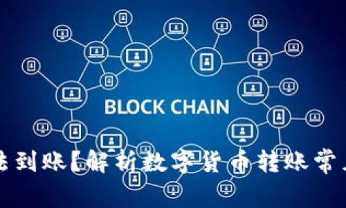 货币已汇出却无法到账？解析数字货币转账常见问题及未来趋势