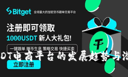 未来USDT电商平台的发展趋势与潜力分析