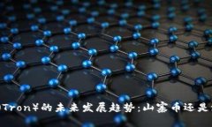 波场币（Tron）的未来发展趋势：山寨币还是潜力