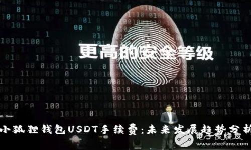 小狐狸钱包USDT手续费：未来发展趋势分析