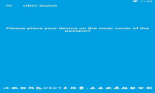 小狐狸钱包USDT手续费：未来发展趋势分析