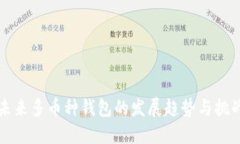 未来多币种钱包的发展趋势与挑战