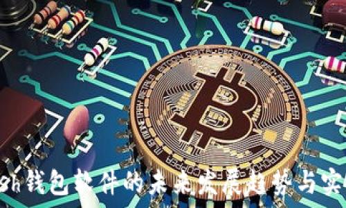   
Advcash钱包软件的未来发展趋势与实用指南