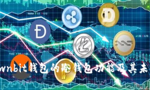 解析Ownbit钱包的冷钱包功能及其未来趋势
