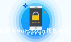 未来发展趋势：全面解析Burstcoin钱包的安全性与