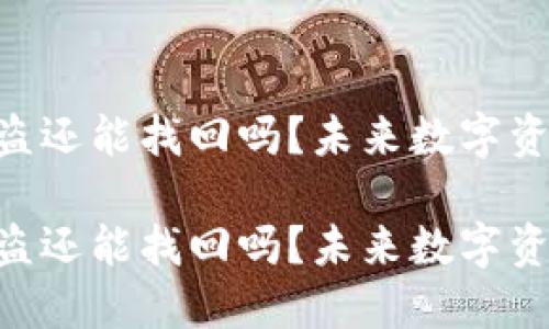 Tokenim代币被盗还能找回吗？未来数字资产安全的新趋势

Tokenim代币被盗还能找回吗？未来数字资产安全的新趋势